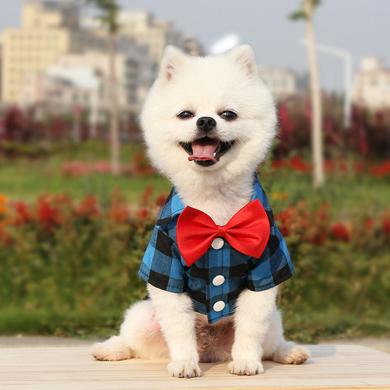 Camisas para perros, trajes, vestidos de boda, osos de peluche, ropa para mascotas y gatos, suministros para primavera, verano y otoño