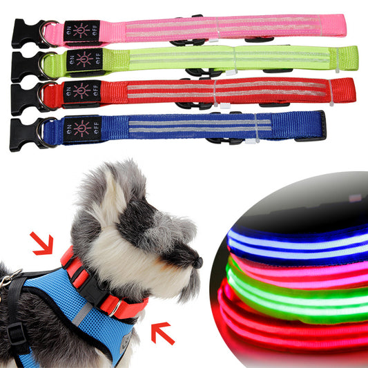 Collar emisor de luz LED con fibra óptica dual que brilla en la oscuridad, batería recargable incorporada para mascotas con cable USB 