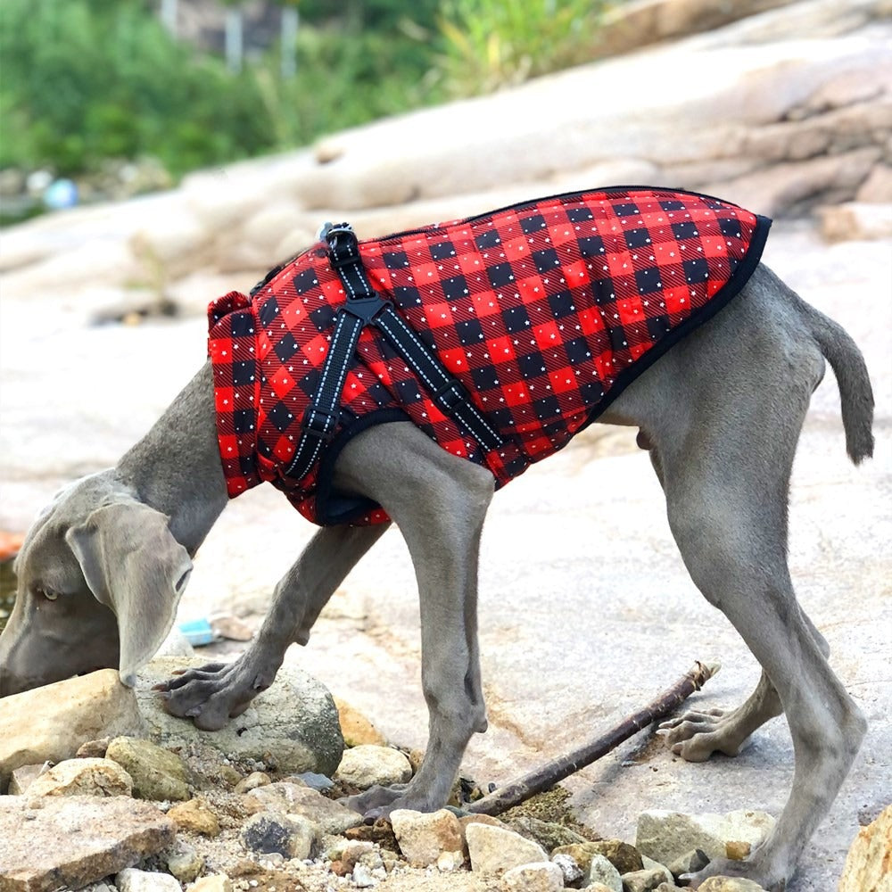 Ropa nueva para mascotas de otoño e invierno, ropa navideña para perros grandes, ropa de algodón gruesa y cálida para perros, ropa para mascotas