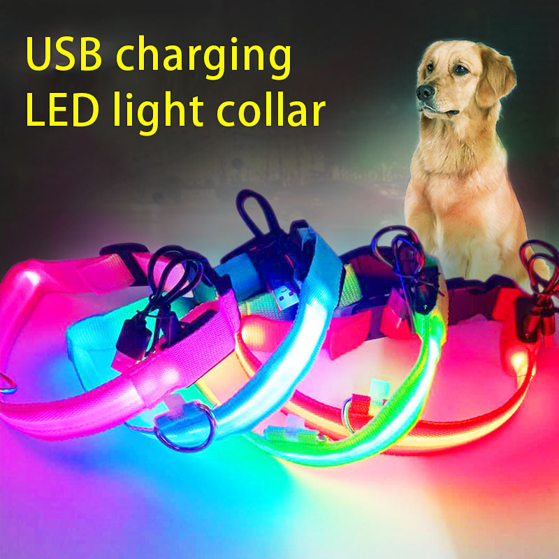 Collar LED para mascotas, collar luminoso, correa para mascotas, malla, anillo de cuello recargable, cable USB, collar para perros, batería