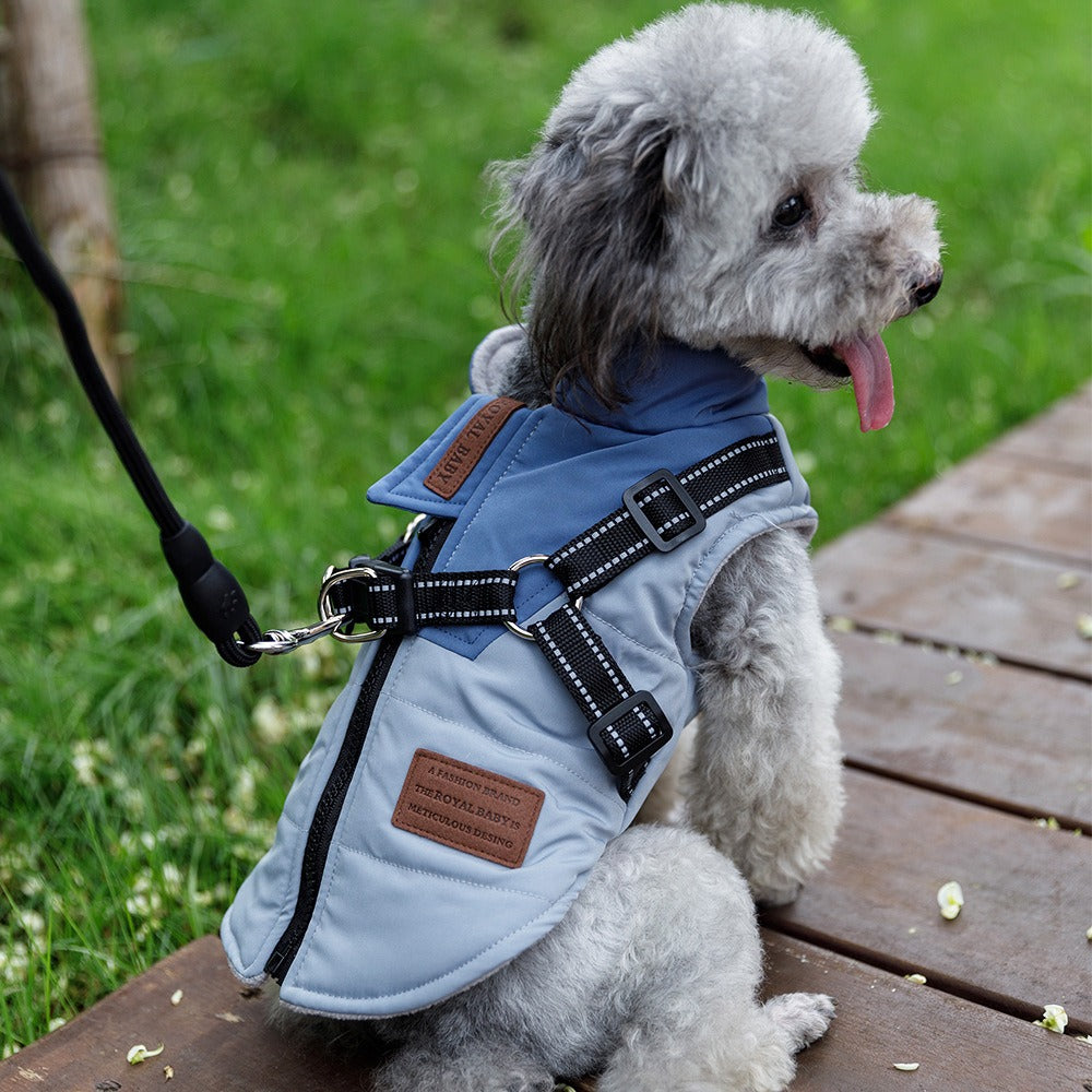 Ropa para perros, cálida y gruesa, para otoño e invierno, de dos patas, para osos de peluche, Pomerania, Schnauzer, chaleco para perros pequeños