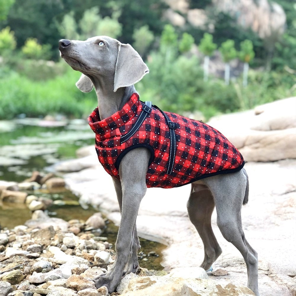 Ropa nueva para mascotas de otoño e invierno, ropa navideña para perros grandes, ropa de algodón gruesa y cálida para perros, ropa para mascotas