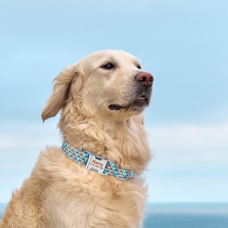 Nuevo collar para mascotas impreso DIY, collar para perro de poliéster impreso grabado, correa de cuerda de tracción