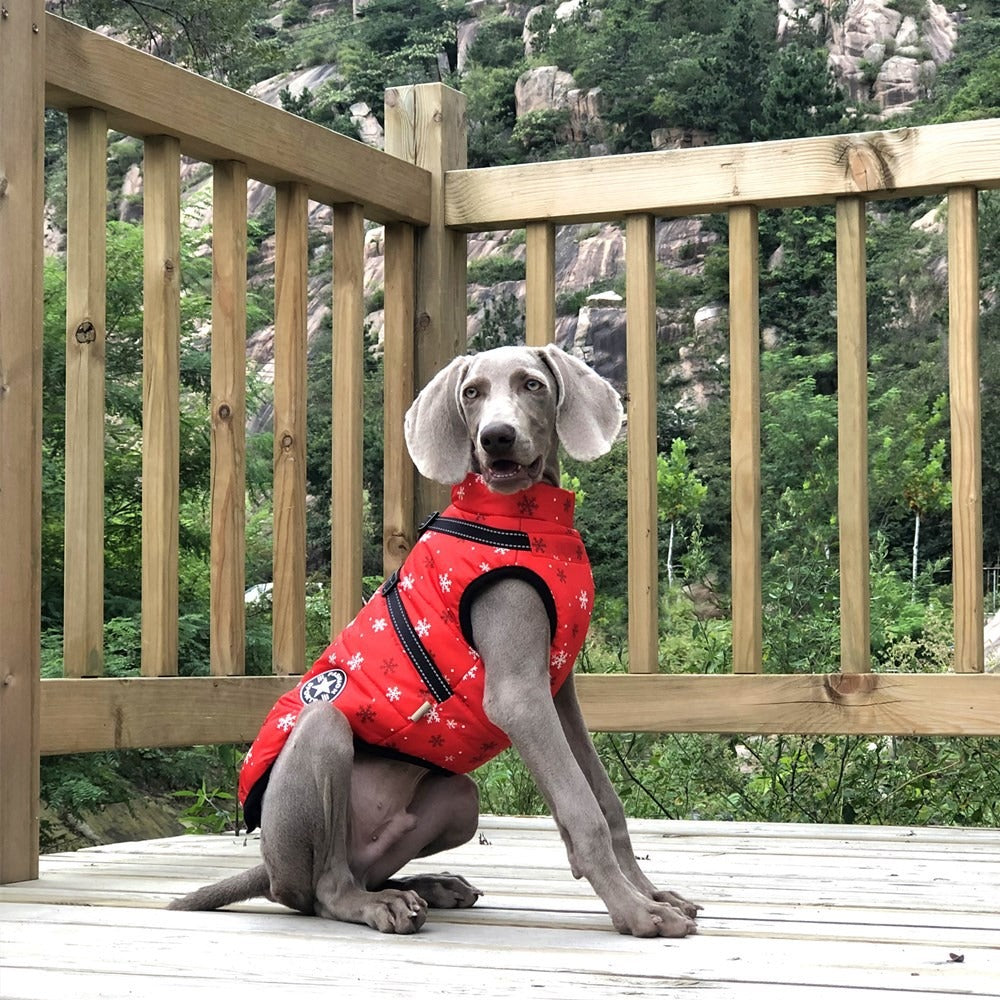 Ropa nueva para mascotas de otoño e invierno, ropa navideña para perros grandes, ropa de algodón gruesa y cálida para perros, ropa para mascotas