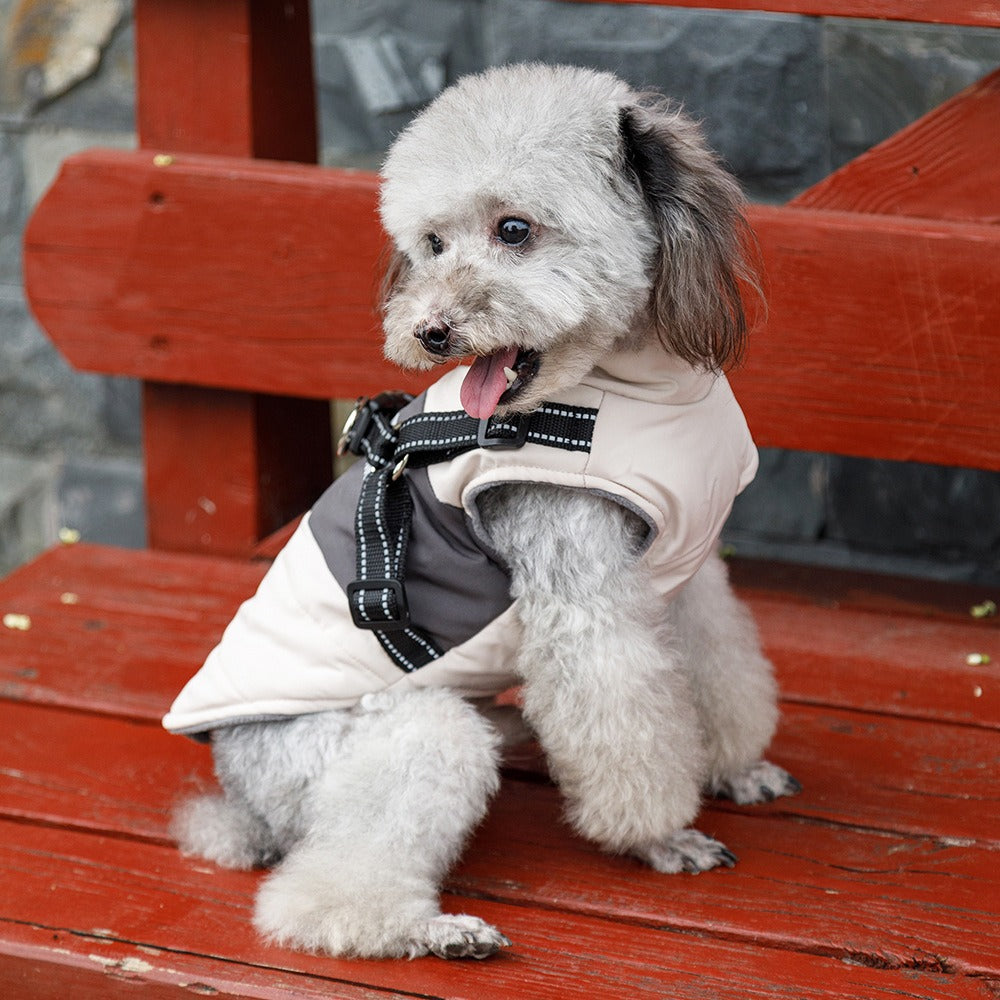 Ropa para perros, cálida y gruesa, para otoño e invierno, de dos patas, para osos de peluche, Pomerania, Schnauzer, chaleco para perros pequeños