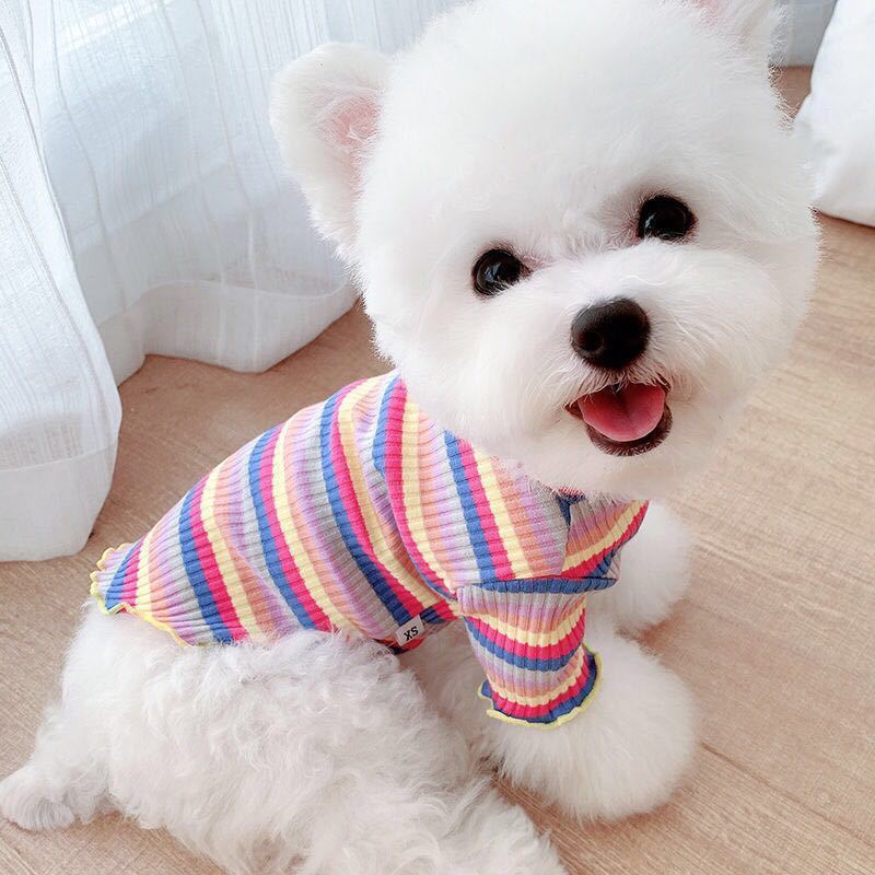 Rainbow Undercoat Dog Clothes Pet Clothes Cat Bears VIP Pomeranian Schnauzer Small Dog Clothes