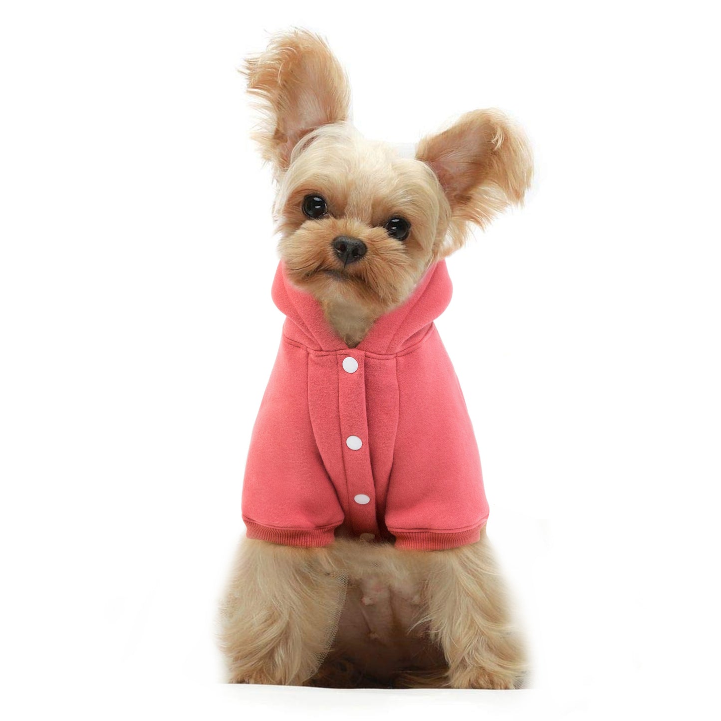 Autumn And Winter New Pet Clothing Dog Supplies Warm Fleece Hooded Teddy VIP Sweater Dog Cloths