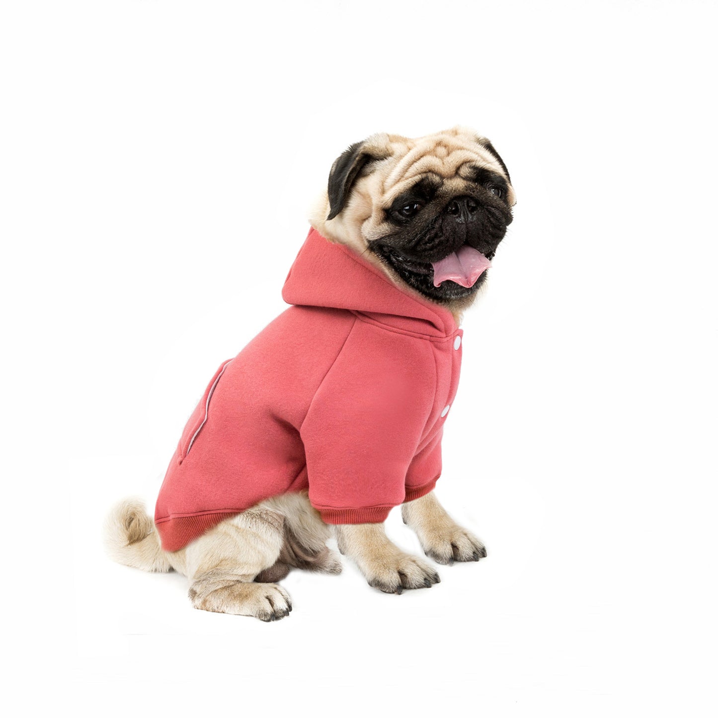 Autumn And Winter New Pet Clothing Dog Supplies Warm Fleece Hooded Teddy VIP Sweater Dog Cloths