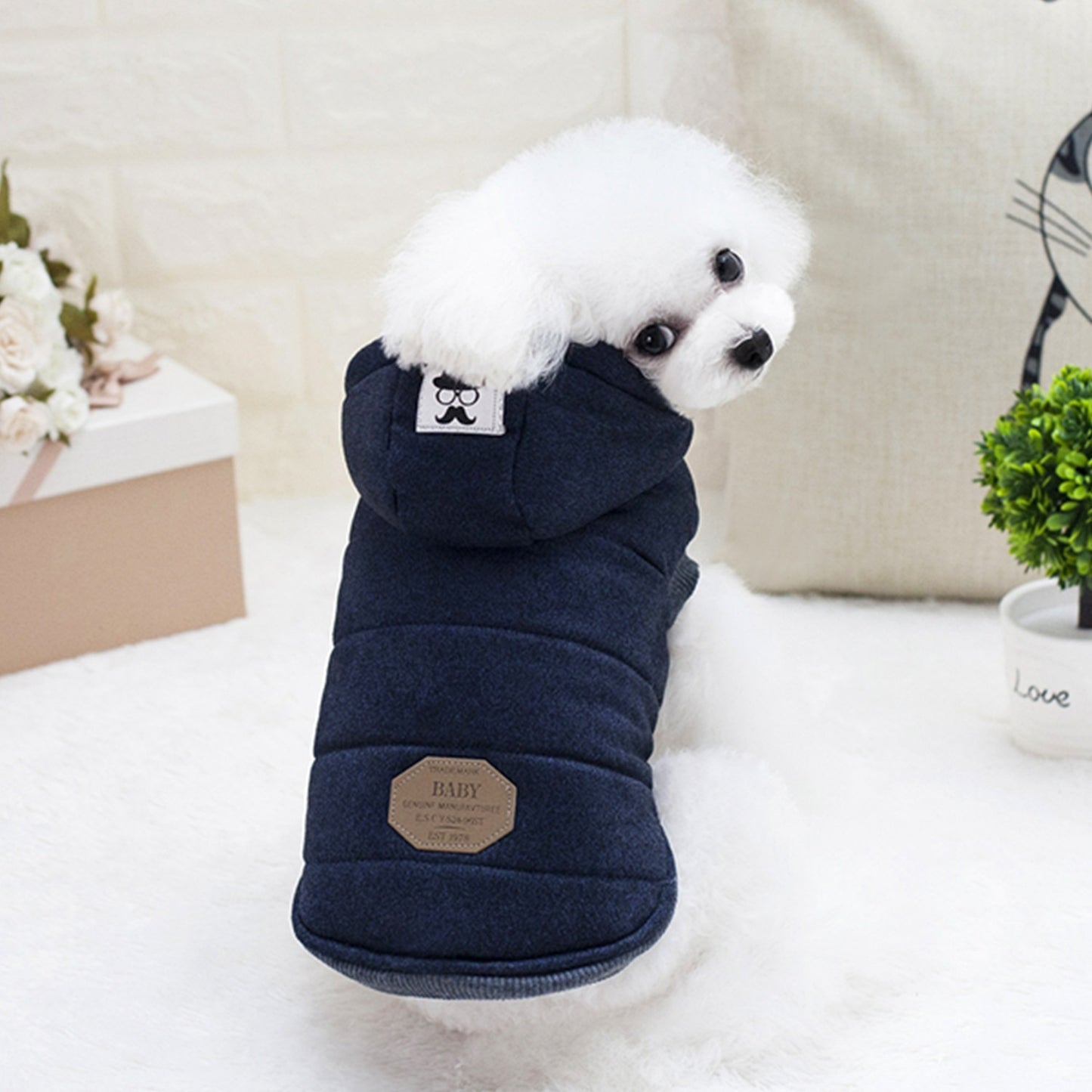 Pet Clothes Dog Clothes Autumn And Winter New Teddy Dog Pet Clothing Two Feet Cotton Clothes