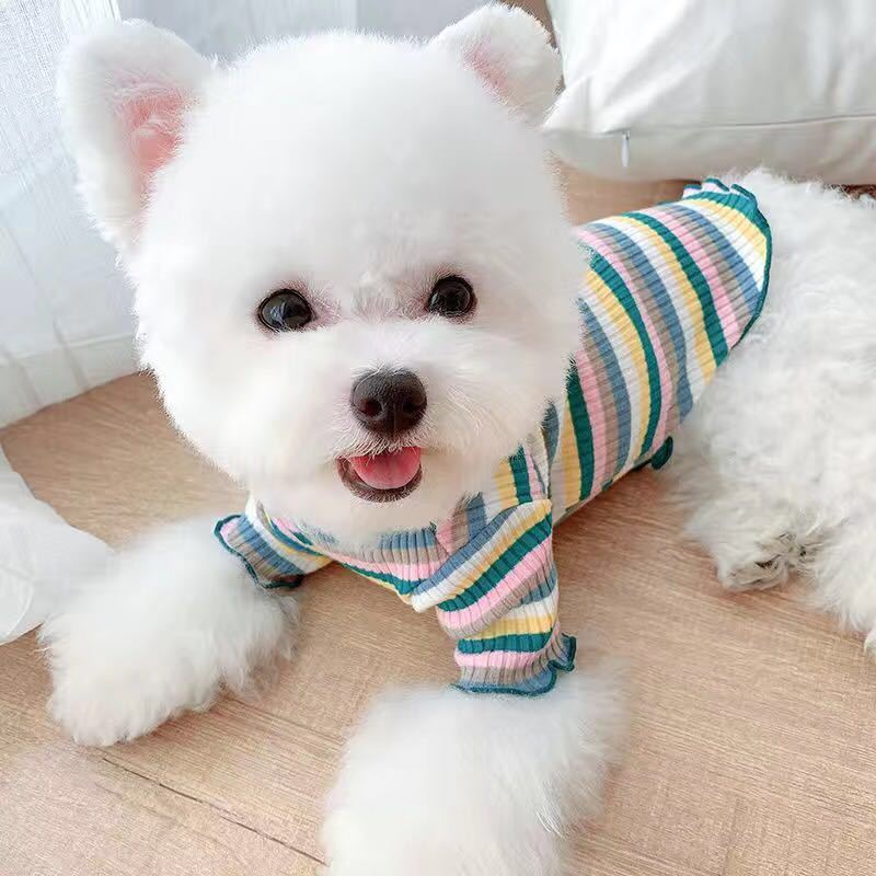 Rainbow Undercoat Dog Clothes Pet Clothes Cat Bears VIP Pomeranian Schnauzer Small Dog Clothes